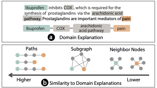 Extending the Nested Model for User-Centric XAI: A Design Study on GNN-based Drug Repurposing